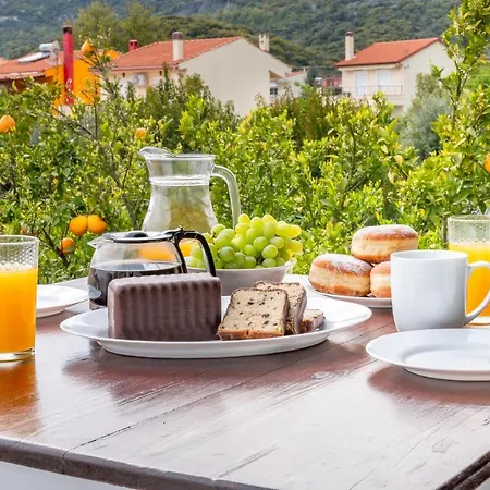 Xenia 아파트 Nea Iraklitsa